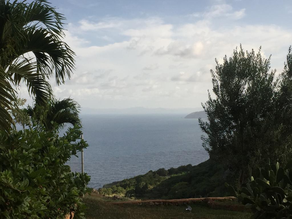 El Monte Azul Bed and Breakfast Las Galeras Exteriör bild